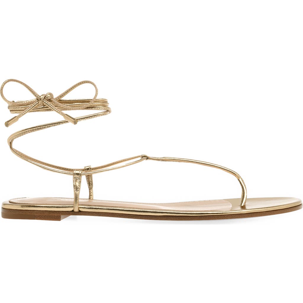 Gianvito Rossi Gianvito Rossi Gwyneth Flat Sandals
