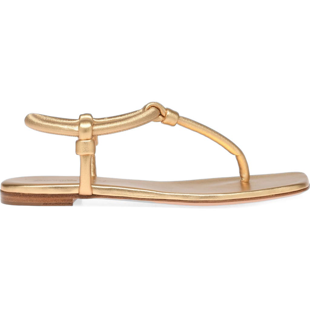 Gianvito Rossi Gianvito Rossi Juno Thong 05 Sandals
