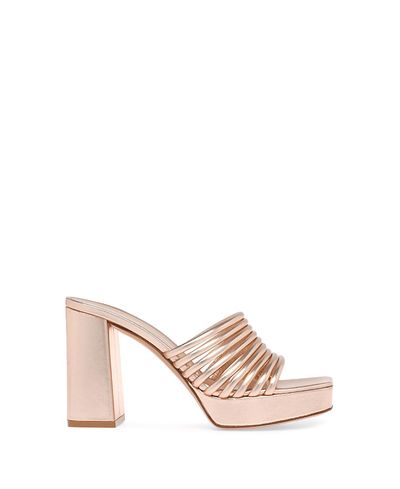 Gianvito Rossi Gianvito Rossi Women's Lena Mule