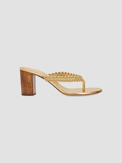 Gianvito Rossi Women's Lattice 70MM Leather Heeled Sandals
