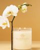 Glasshouse Fragrances Kyoto In Bloom Woody Glass Candle - 1