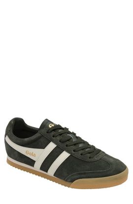 Gola Gola Apollo Sneaker
