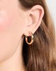 Gorjana Gorjana Carter Small Hoops Gold One Size - 3
