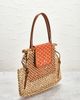 goyard Goyard Aligre Handbag - 4
