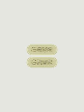 grove 25SS GRVR JULES HAIR PIN [YELLOW]