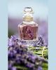 Guerlain Mon Guerlain Eau de Parfum, 3.4 oz. - 4