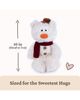 Gund Gund Snowman Philbin Plush Toy - 4