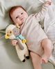 HABA HABA Woolbert the Ram Lovey Set - 2