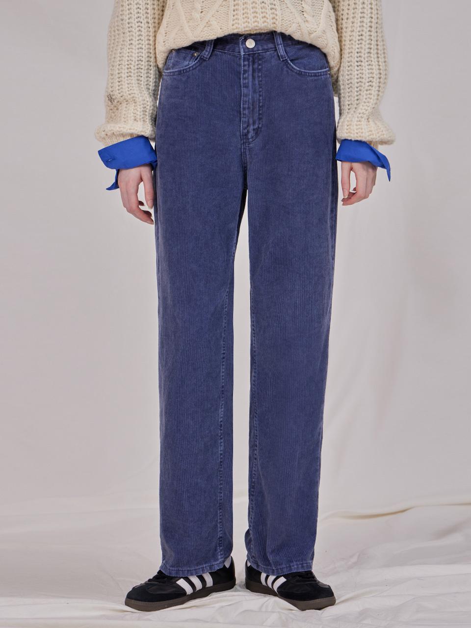 HAINT Belle Corduroy Wide Pants _ Navy
