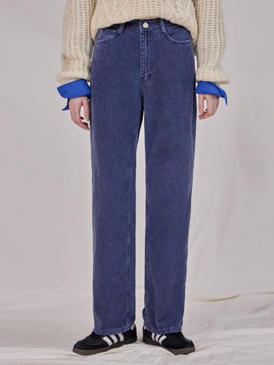 HAINT Belle Corduroy Wide Pants _ Navy