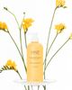 HAIR+ HAIR+ Protein Bond Hair Treatment - 2