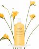 HAIR+ HAIR+ Protein Bond Shampoo - 2