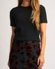 halogen(r) halogen(r) Short Sleeve Crewneck Sweater - 1