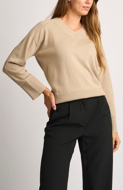 halogen(r) halogen(r) V-Neck Sweater