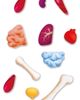 Hape Hape Human Body 50-Piece Puzzle - 4
