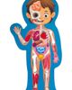 Hape Hape Human Body 50-Piece Puzzle - 5