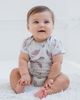 HARRY POTTER HARRY POTTER 5-Pack Bodysuits - 2