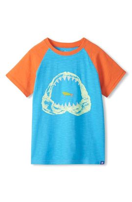 Hatley Hatley Kids' Shark Graphic T-Shirt