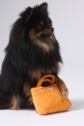 Haute Diggity Dog Fashion Handbag Plush Dog Toy