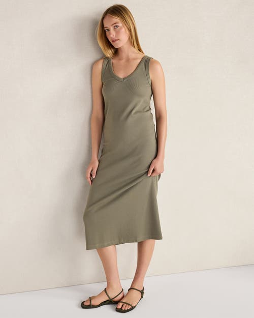 Haven Well Within Haven Well Within Organic Cotton Rib Knit V-Neck Midi Dress