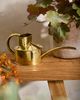 Haws Fazeley Flow Watering Can - 1