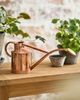 Haws Rowley Ripple 1 Liter Watering Can, Copper - 1