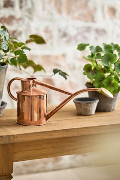 Haws Rowley Ripple 1 Liter Watering Can, Copper