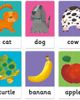 Headu Headu Maxi Flashcards Baby English First Words Language Game - 5