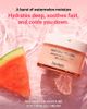 Heimish Heimish Watermelon Moisture Soothing Gel Cream Women Hydration 110ml - 4