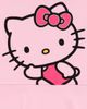 Hello Kitty Hello Kitty 2-Pack Short Sleeve Skater Dresses - 5