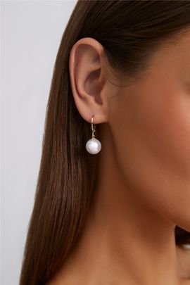 Hello Molly Palm Star Earrings Gold