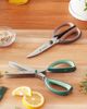 Henckels Henckels 2-pc Kitchen and Herb Shears Set in Stainless Steel at Urban Outfitters - 1