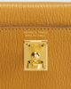 hermes Hermes Chevre Mysore  Kelly Verso 20 Sellier Handbag - 5