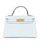 hermes Hermes Chevre Mysore Kelly 20 Sellier Handbag - 1