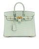 hermes Hermes Matte Alligator Birkin 25 Handbag - 1