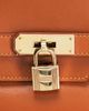 hermes Hermes Tadelakt Ghillies Birkin 35 Handbag - 6