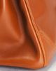 hermes Hermes Tadelakt Ghillies Birkin 35 Handbag - 8