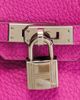 hermes Hermes Taurillon Clemence Birkin 25 Retourne Handbag - 6