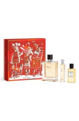 Hermès Terre d’Hermès - Eau de Toilette Set 