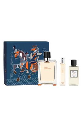 Hermès Terre d'Hermès - Eau de Toilette Spray Gift Set 