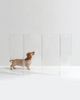Hiddin Clear Freestanding Gate Zigzag Dog Panel - 1