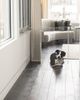 Hiddin Clear Freestanding Gate Zigzag Dog Panel - 2