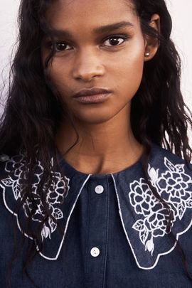 H&M H&M Embroidered-collar Denim Blouse