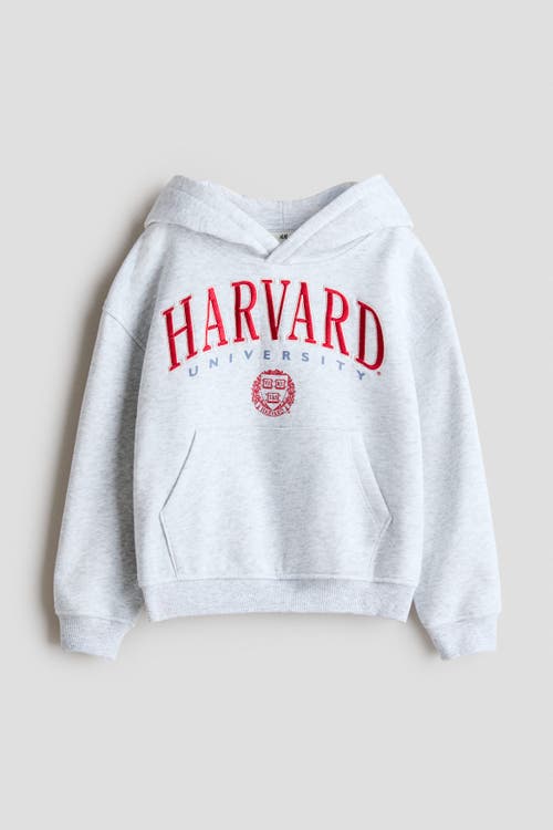 H&M H&M Embroidered Hoodie