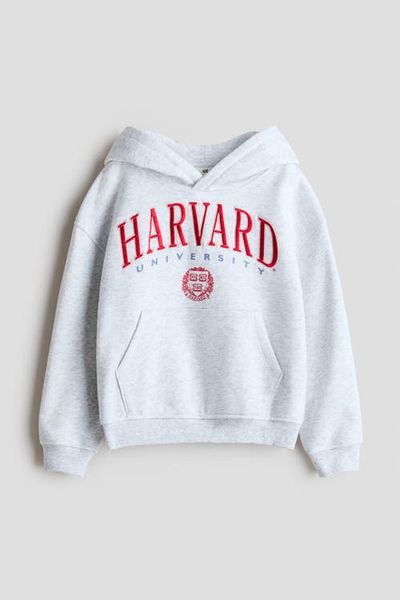 H&M H&M Embroidered Hoodie