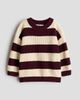 H&M H&M Patent-Knit Sweater - 1