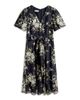 Hobbs London Hobbs London Petites Ira Dress - 5