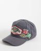 Hollister Hollister graphic trucker hat in black - 1