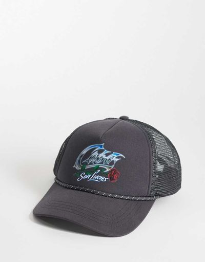 Hollister Hollister trucker hat in gray-Black