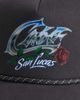 Hollister Hollister trucker hat in gray-Black - 2